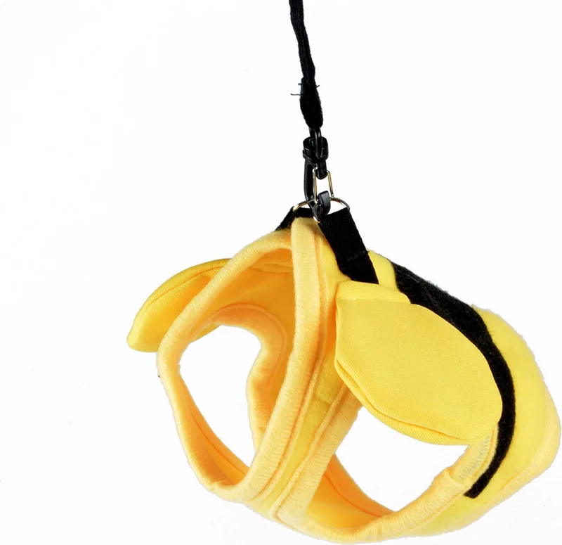 Duvoplus - Uitlaatriem Voor Dieren - Knaagdier - Wandelvestje Bij L - 24-31cm - 175cm/12mm - 1st de Duvo+ en Jaune, Noir – photo produit