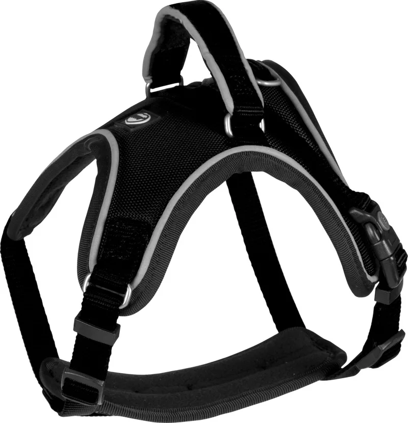 Explor west harnas nylon 80-100cm/25mm de Duvo+ en Noir – photo produit