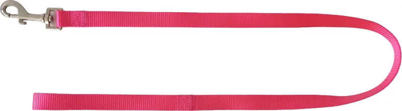 Hondenlijn / Hondenriem - Nylon - M/L - Breedte 20 mm - Lengte 100 cm de Duvo+ en Rose – photo produit