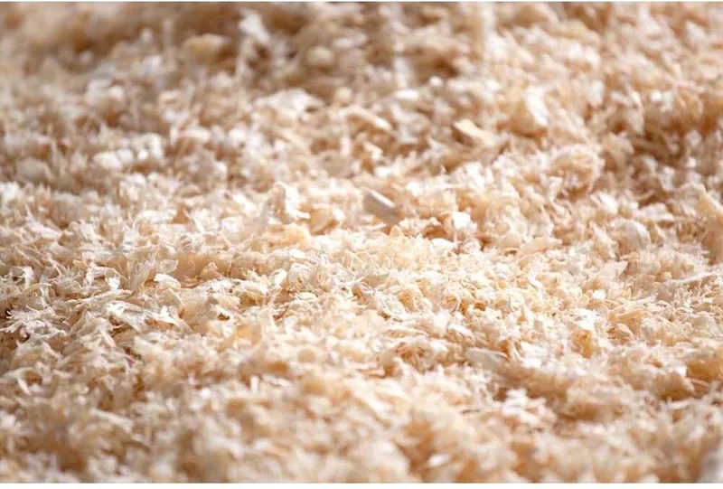 Houtvezel - Ideale Bodembedekking Voor Knaagdieren & Slangen - Sterk Absorberend - 1Kg by Duvo+ – product photo