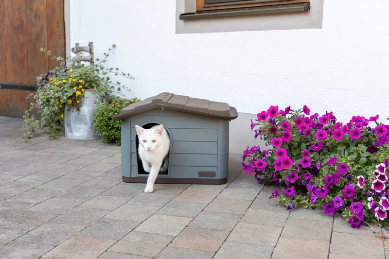 Kattenhuis - kattenhok - slaaphuis - hondenhok- Huisdierhuis - 65x46x48cm de Duvo+ en Marron, Vert – photo produit