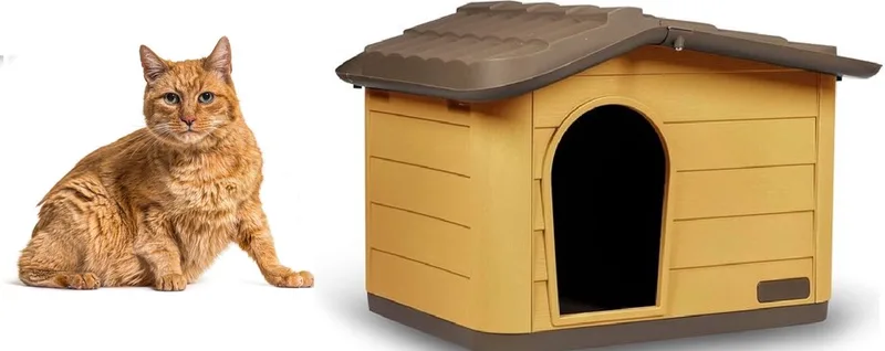 Kattenhuis - kattenhok - slaaphuis - kattenhok - Huisdierhuis - 51x38x35cm de Duvo+ en Honing bruin – photo produit