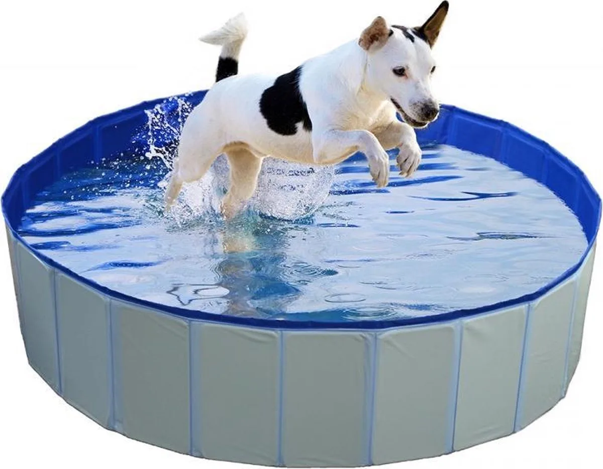 Plus Piscine pour chien durable 120x30 cm de Duvo+ – photo produit