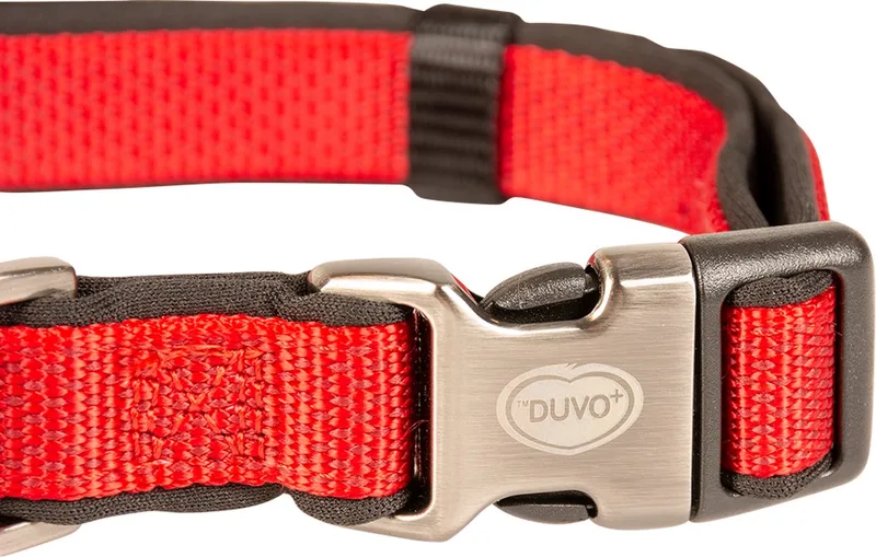 North Halsband Nylon L 35-55cm/20mm by Duvo+ in Red – product photo