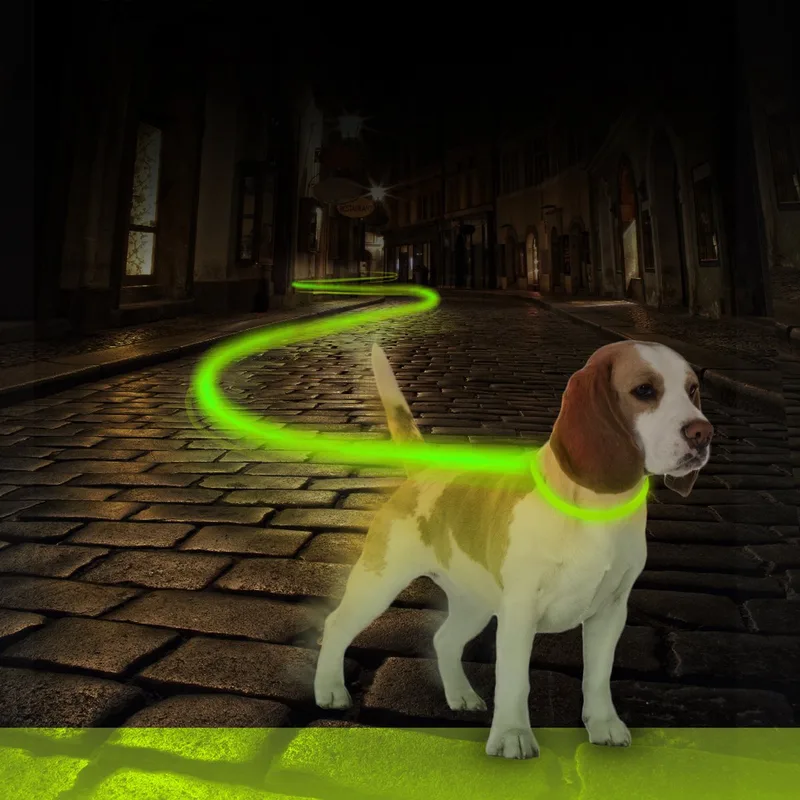 Nylon Licht Halsband Veiligheidslicht - Dierenlampje - 45 cm de Duvo+ en Vert – photo produit
