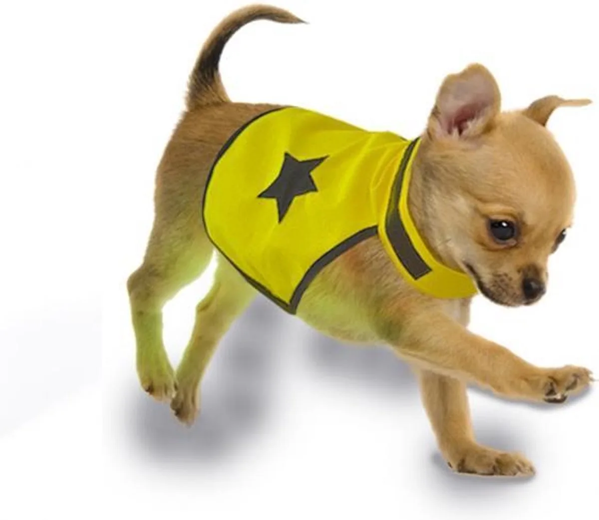 Plus Gilet réfléchissant Seecurity Neon pour chiens 40 cm de Duvo+ – photo produit