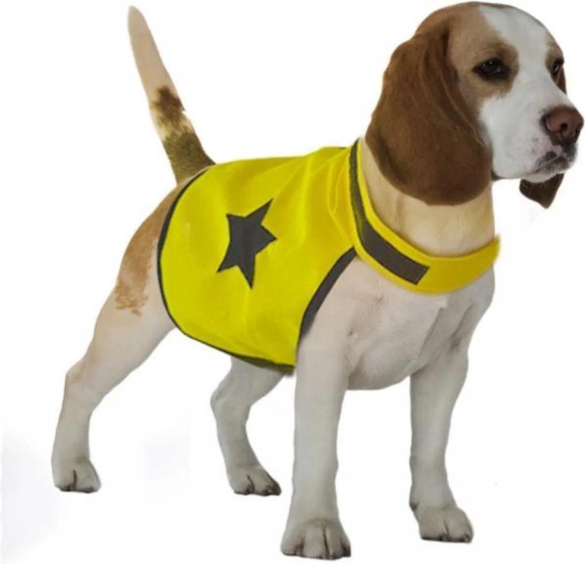 Plus Gilet réfléchissant Seecurity Neon pour chiens 48 cm de Duvo+ – photo produit