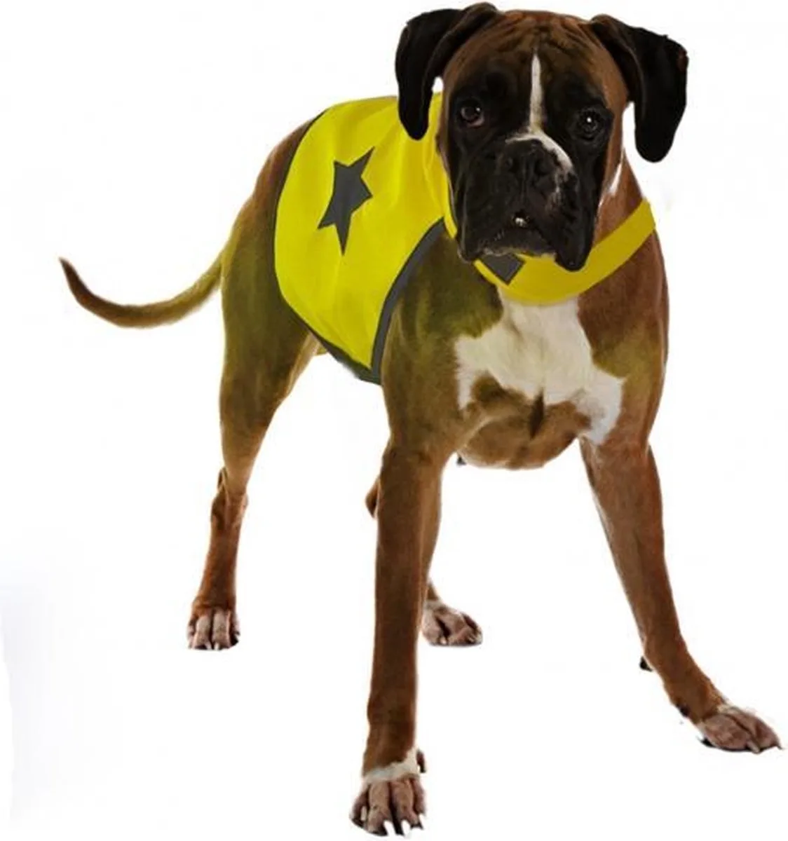 Plus Gilet réfléchissant Seecurity Neon pour chiens 56 cm de Duvo+ – photo produit
