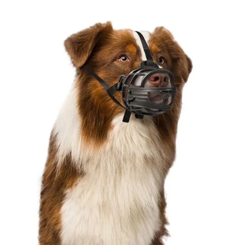 Verstelbare Rottweiler-martin-san Bernardo Muilkorf Xl de Duvo+ – photo produit 3 sur 6