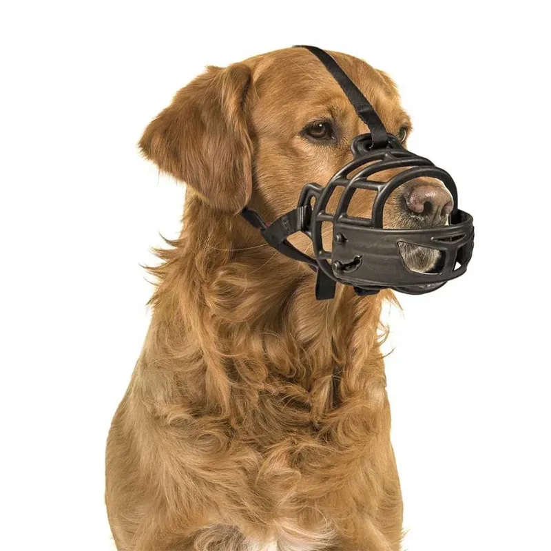 Verstelbare Rottweiler-martin-san Bernardo Muilkorf Xl de Duvo+ – photo produit 5 sur 6