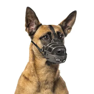 Verstelbare Rottweiler-martin-san Bernardo Muilkorf Xl de Duvo+ – photo produit 4 sur 6