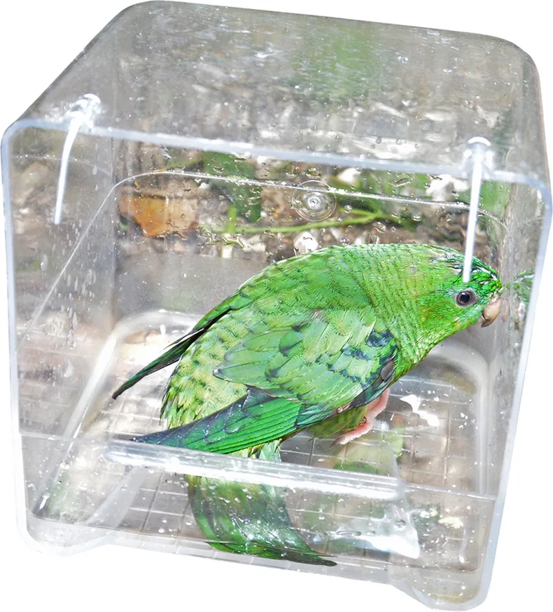 Vogelbad - Transparant by Duvo+ – product photo