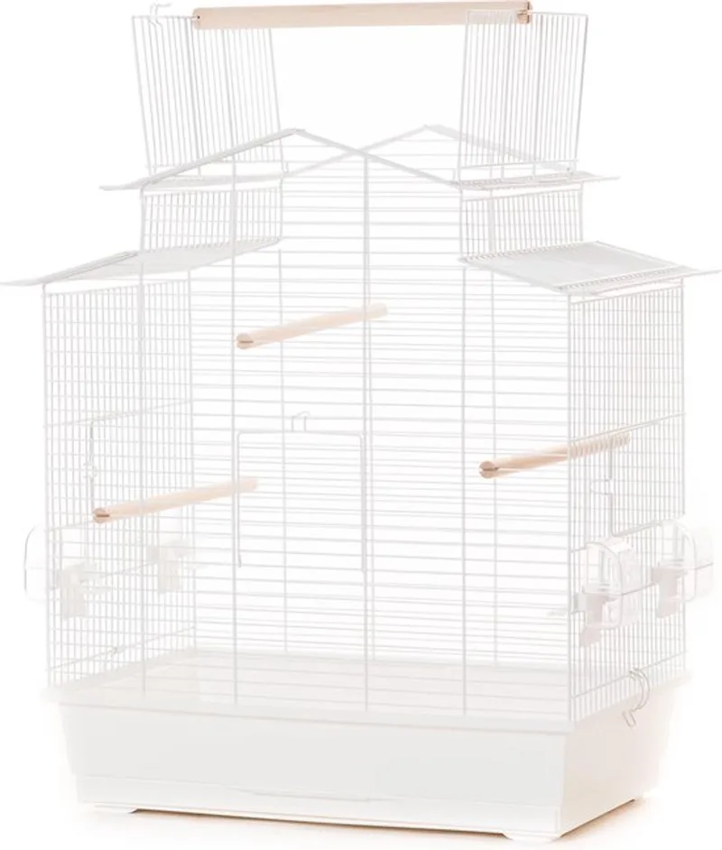 Vogelkooi - Parkietenkooi - Kanariekooi - voliere- 59 x 38 x 65cm by Duvo+ in White – product photo
