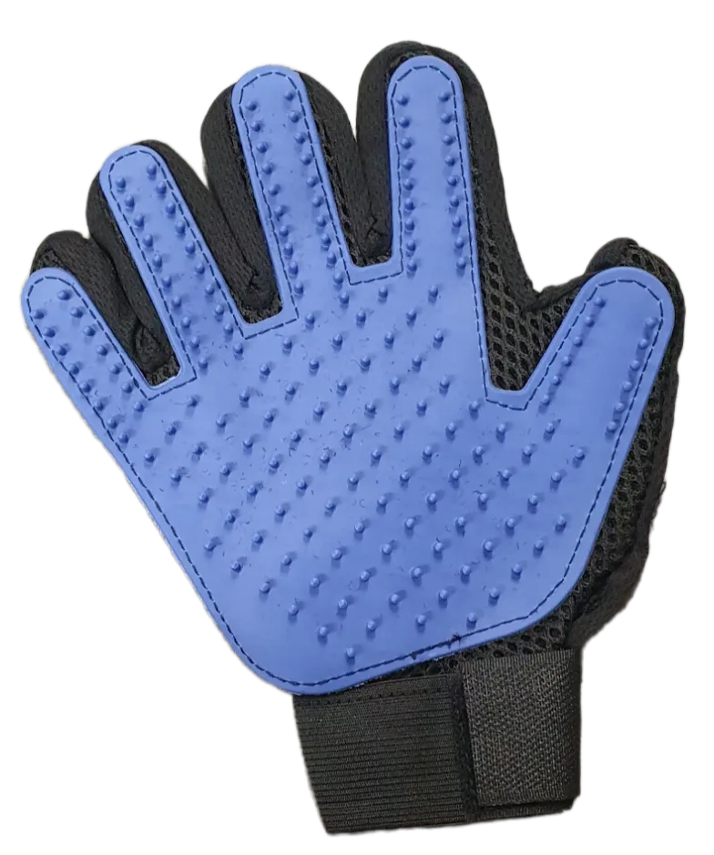 Borstel Handschoen by DWXL – product photo