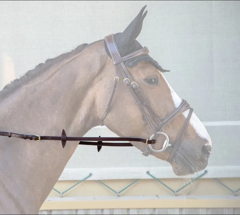 Adjustable Reins Pony by Dy'on in Brown – product photo