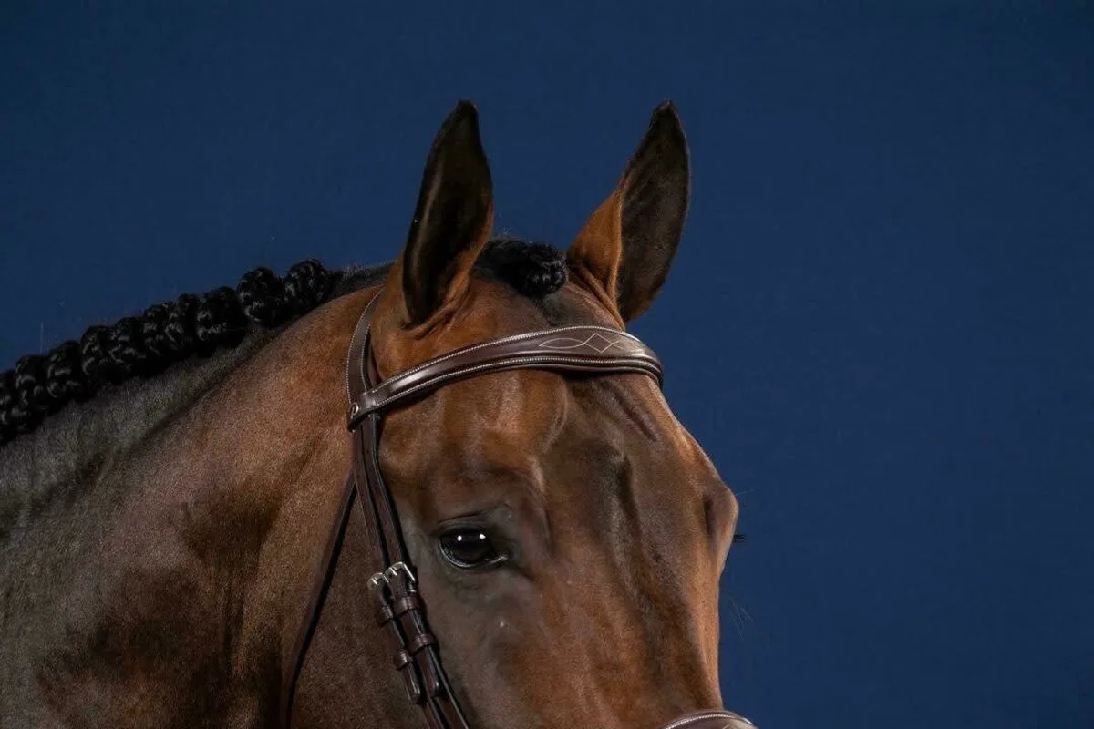 Anatomic Browband Hunter by Dy'on in Brown – product photo