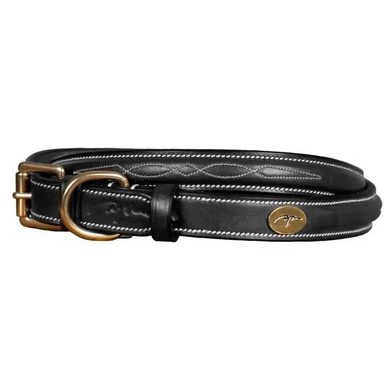 Fancy Hondenhalsband de Dy'on – photo produit