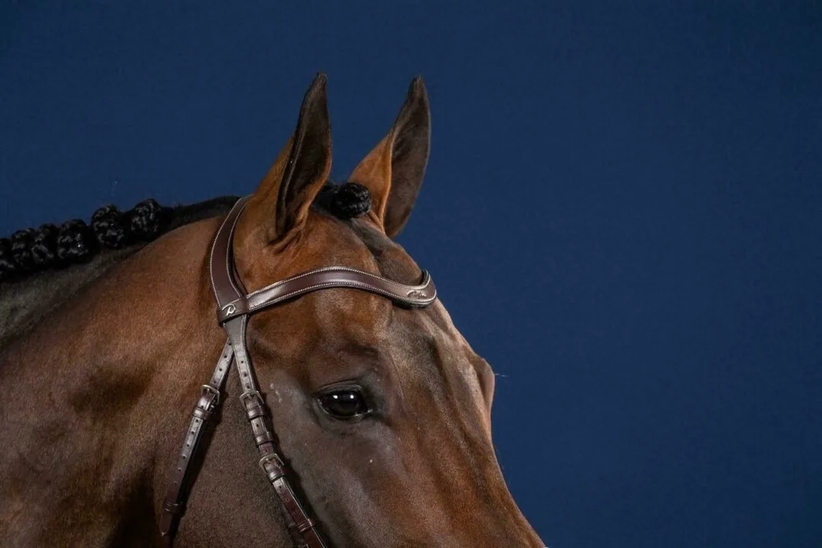 Flat Leather V-Shaped Browband Hunter Full de Dy'on en Noir – photo produit