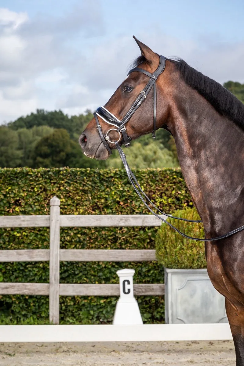 Hoofdstel Dressage Collection By Dy'on Patent Large Crank White Padding de Dy'on en Noir – photo produit