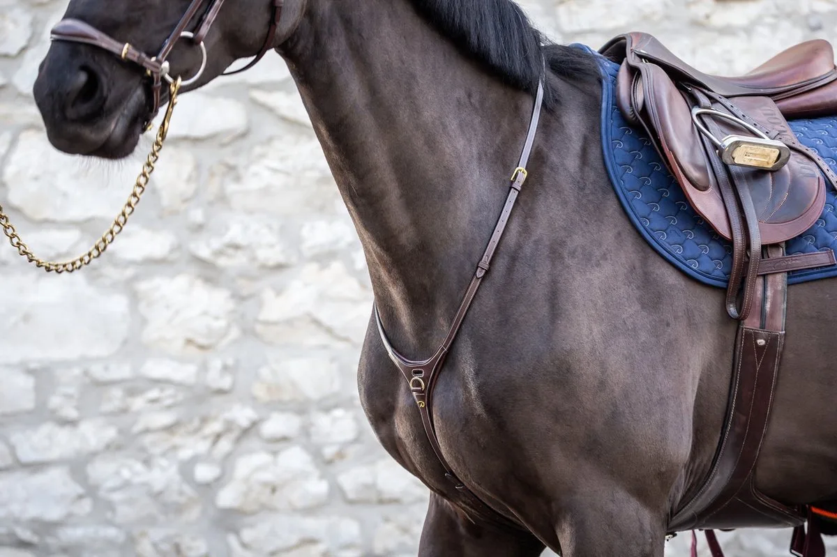Martingaal D Collection By Dy'on Yoke de Dy'on en Noir – photo produit