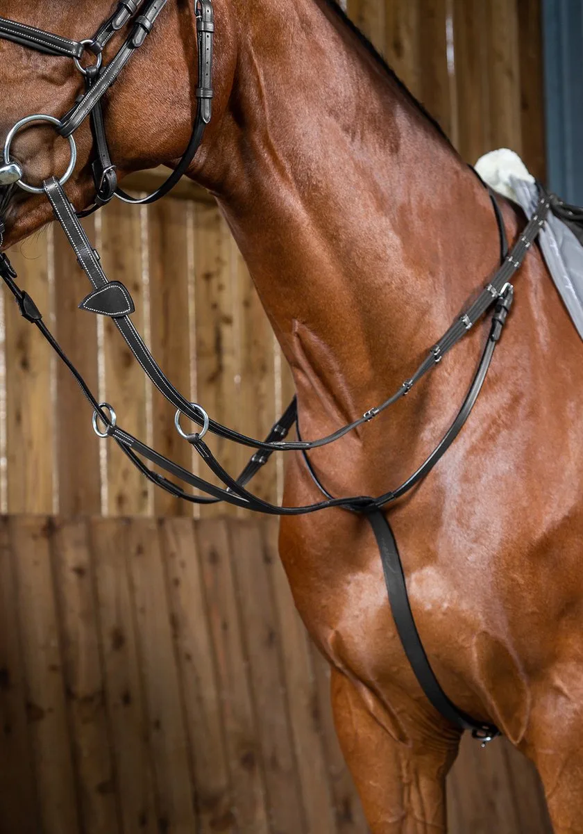 Martingaal Working Collection - paard de Dy'on en Noir – photo produit