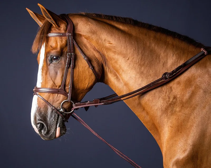 Slofteugel in leer/nylon Bruin - Full | Teugels paard de Dy'on – photo produit