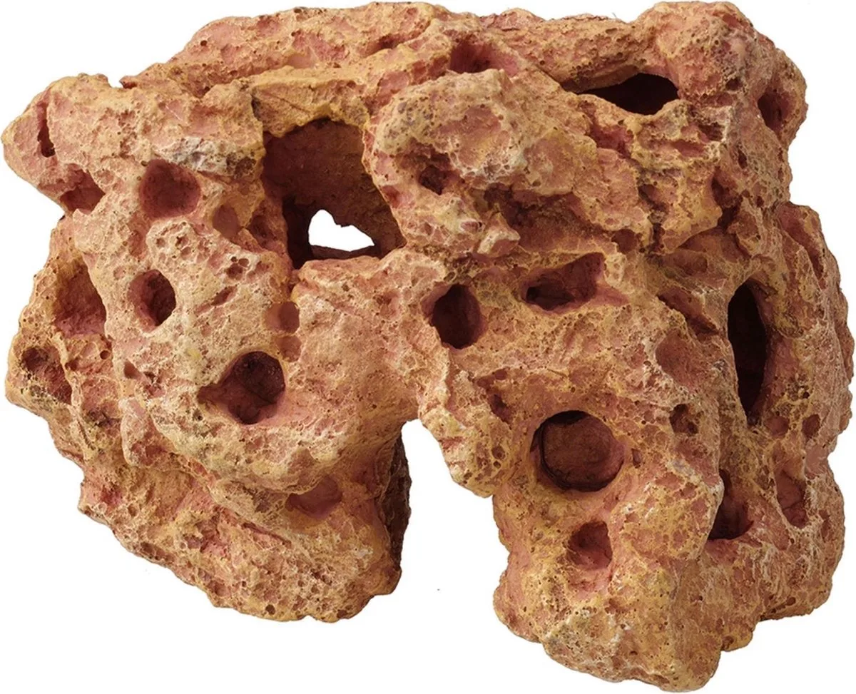 Decor Rots Colorado 23x13x16.5 cm van Ebi in <> – productfoto