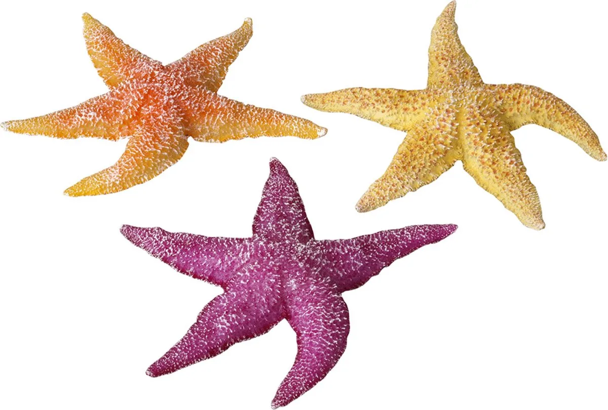 Decor Zeester 17x15x2.5 cm Assorti van Ebi in <> – productfoto