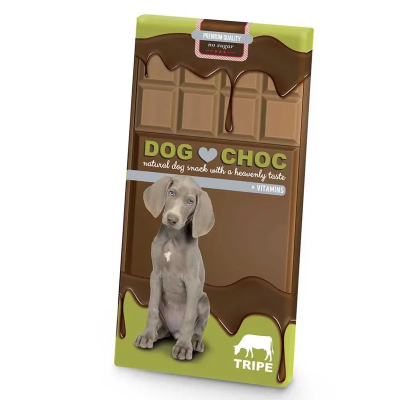 Hondensnack Met Chocoladesmaak 100g by Ebi – product photo
