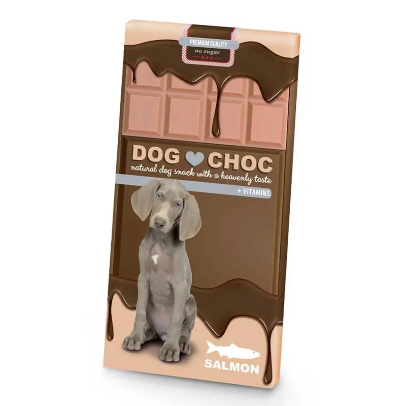 Zalm Chocolade Hondensnack 100g by Ebi – product photo