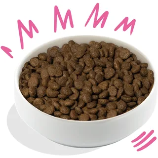 Knuspriges Hundeessen Mit Rote Beete Und Kürbis 2.5 Kg von Edgard & Cooper – Produktfoto 2 von 3