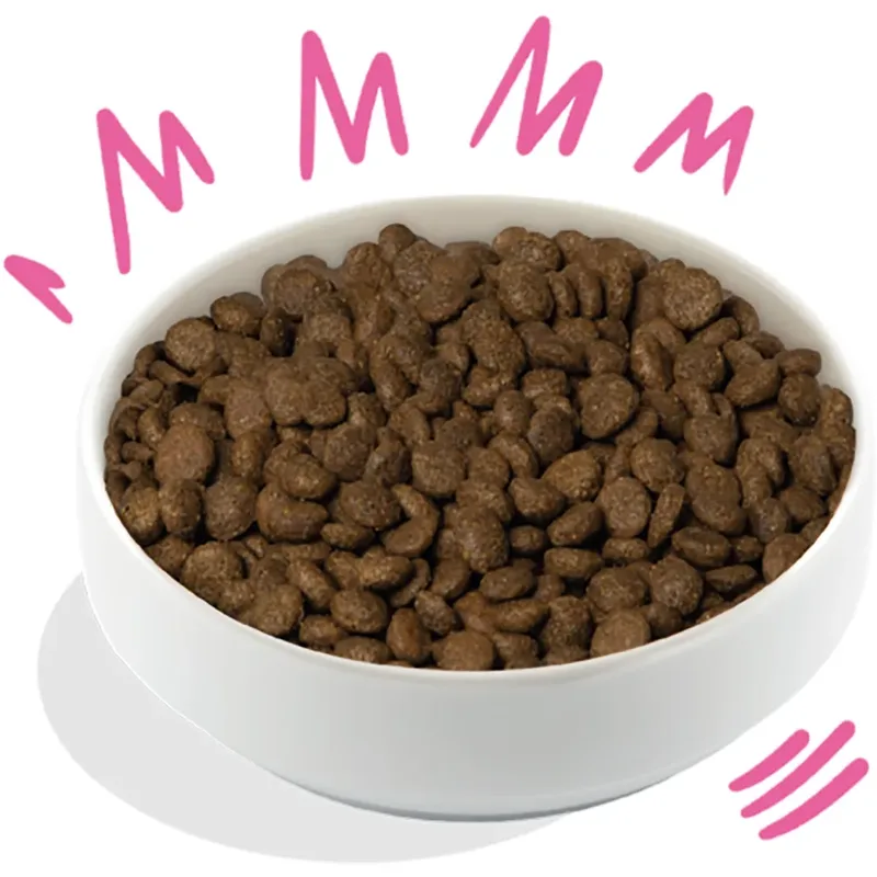 Knuspriges Hundeessen Mit Rote Beete Und Kürbis 2.5 Kg von Edgard & Cooper – Produktfoto 2 von 3
