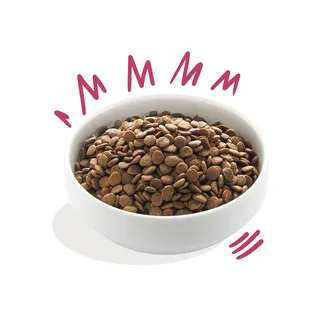 Adult Hondenbrokken Voor Medium Honden, Verse Hert & Eend, 7Kg, Graanvrij En Hypoallergeen Recept Met Natuurlijke Ingrediënten, Perfecte Vezelbalans by Edgard & Cooper – product photo 3 of 3