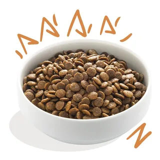 Frisches Freerun Hühner-nassfutter Für Hunde 2.5 Kg von Edgard & Cooper – Produktfoto 3 von 3
