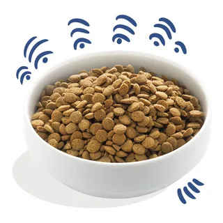 Nourriture Humide Pour Chiens Avec Du Saumon Norvégien Frais 2.5 Kg de Edgard & Cooper – photo produit 2 sur 3