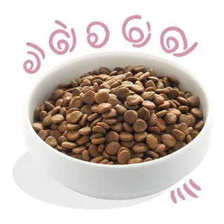 Puppy Hondenbrokken Voor Grote Honden, Verse Eend & Kip, 12Kg, Graanvrij Recept Met Natuurlijke Ingrediënten, Perfecte Vezelbalans by Edgard & Cooper – product photo 2 of 2