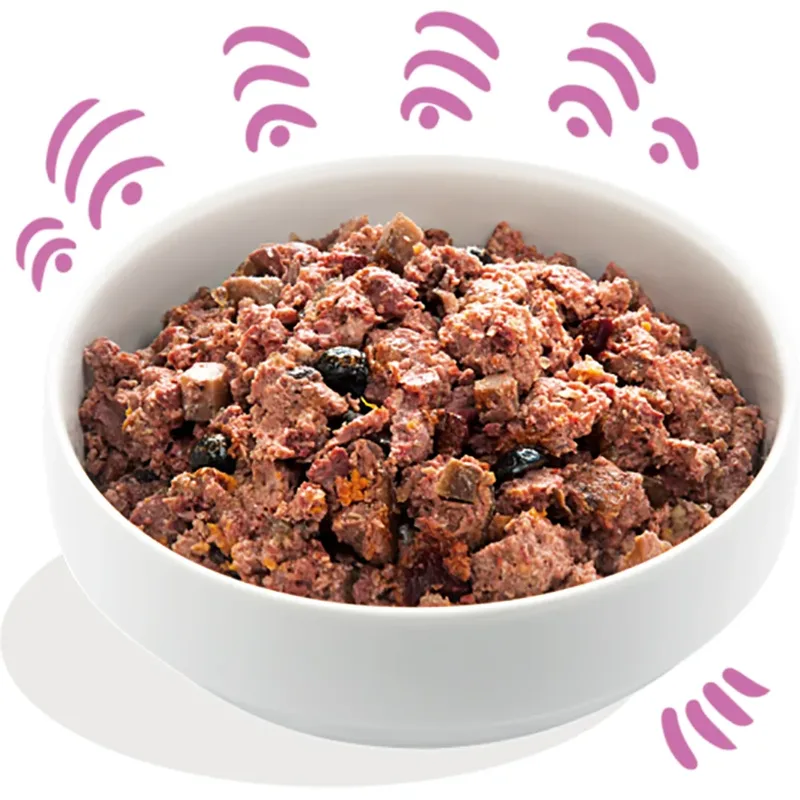 Wild & Eend Blik - Voor volwassen honden - Hondenvoer - 400g fra Edgard & Cooper – produktbillede 3 af 3