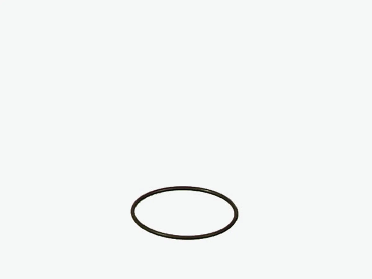 O-Ring voor 2080/2180,2226-2328/2227-2329-2426 van Eheim – productfoto