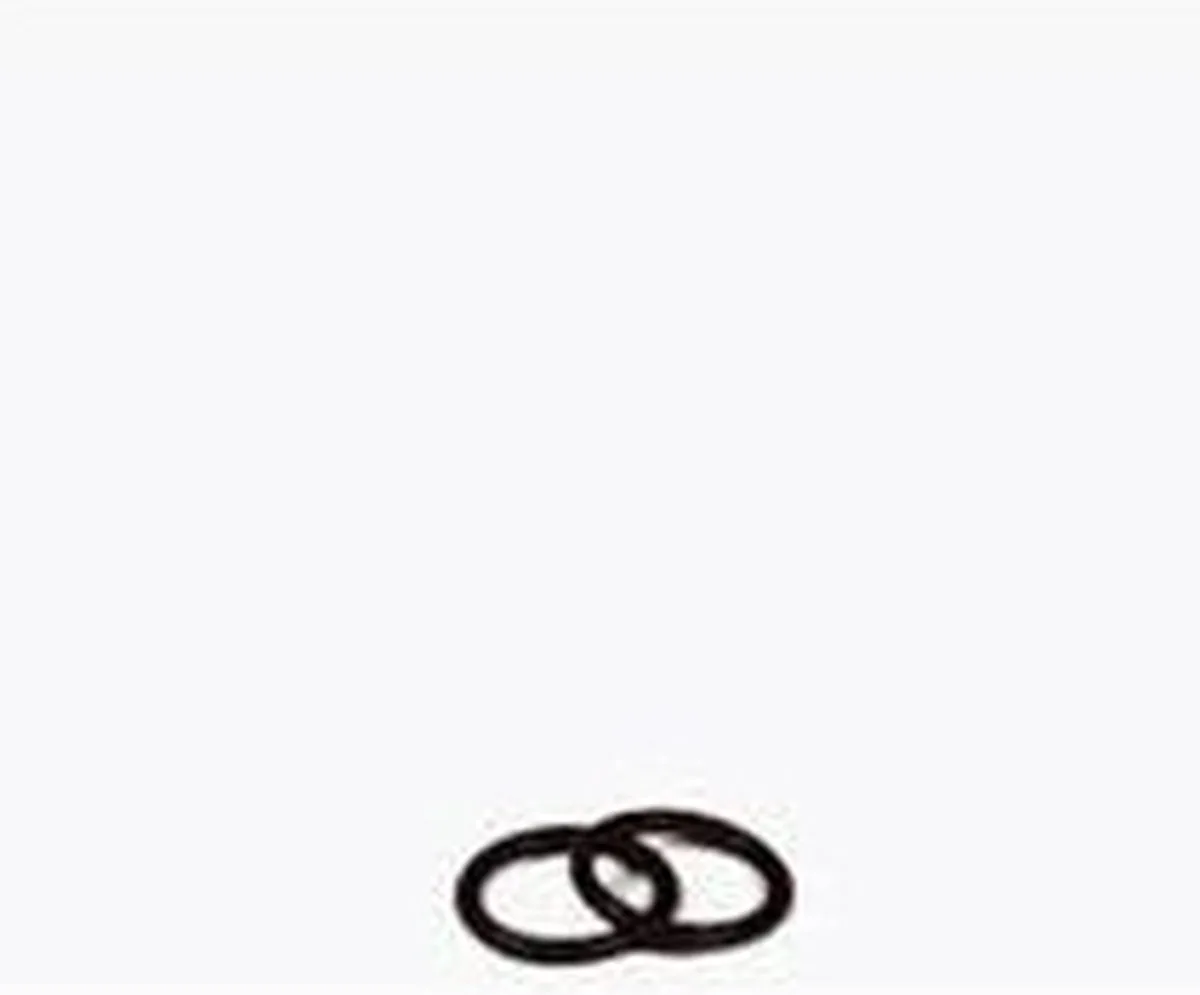 O-Ring voor 2211-17/2313-17/4006410-4007510 de Eheim – photo produit
