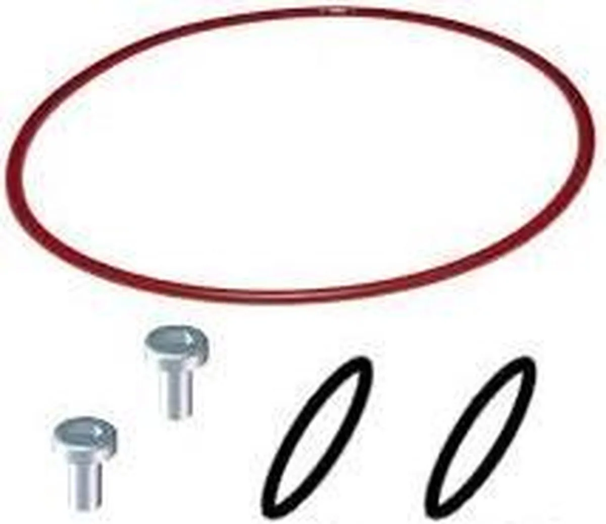 Ring & Schroeven voor Reeflex UV 3721/3722/3723 de Eheim – photo produit