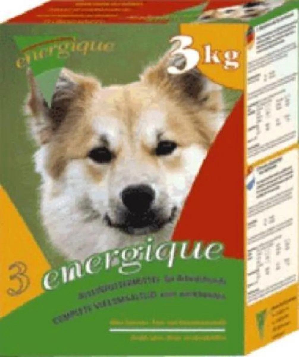 Nr 3 Werkhond de Energique – photo produit