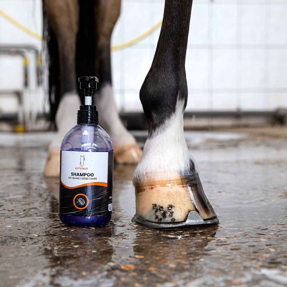 Epplejeck Paardenshampoo White Horse Wit von Epplejeck – Produktfoto