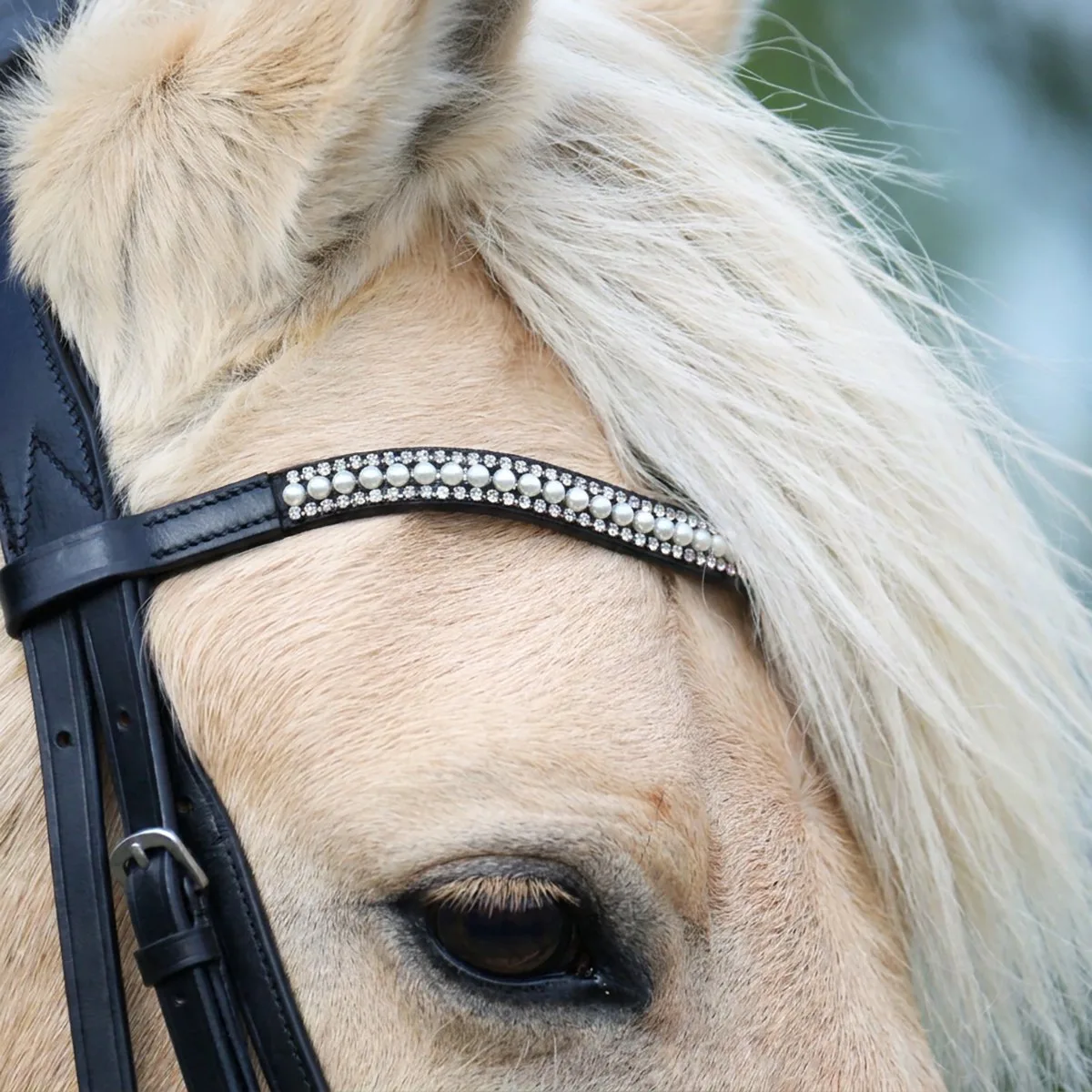 Frontriem Epplejeck Shiny Pearl Strass från Epplejeck i Svart – produktbild