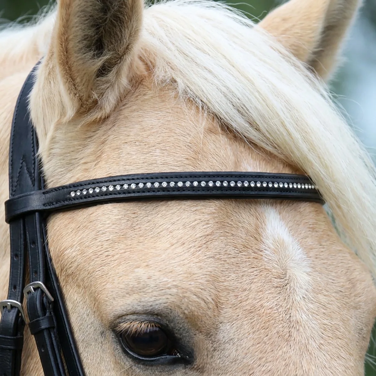 Frontriem Epplejeck Strass från Epplejeck i Svart – produktbild