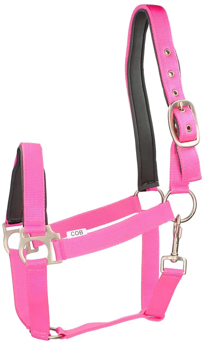 Halster Epplejeck Esprit by Epplejeck in Roze-grijs – product photo