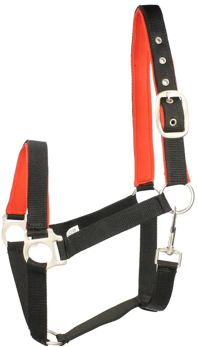 Halster Epplejeck Esprit by Epplejeck in Zwart-rood – product photo