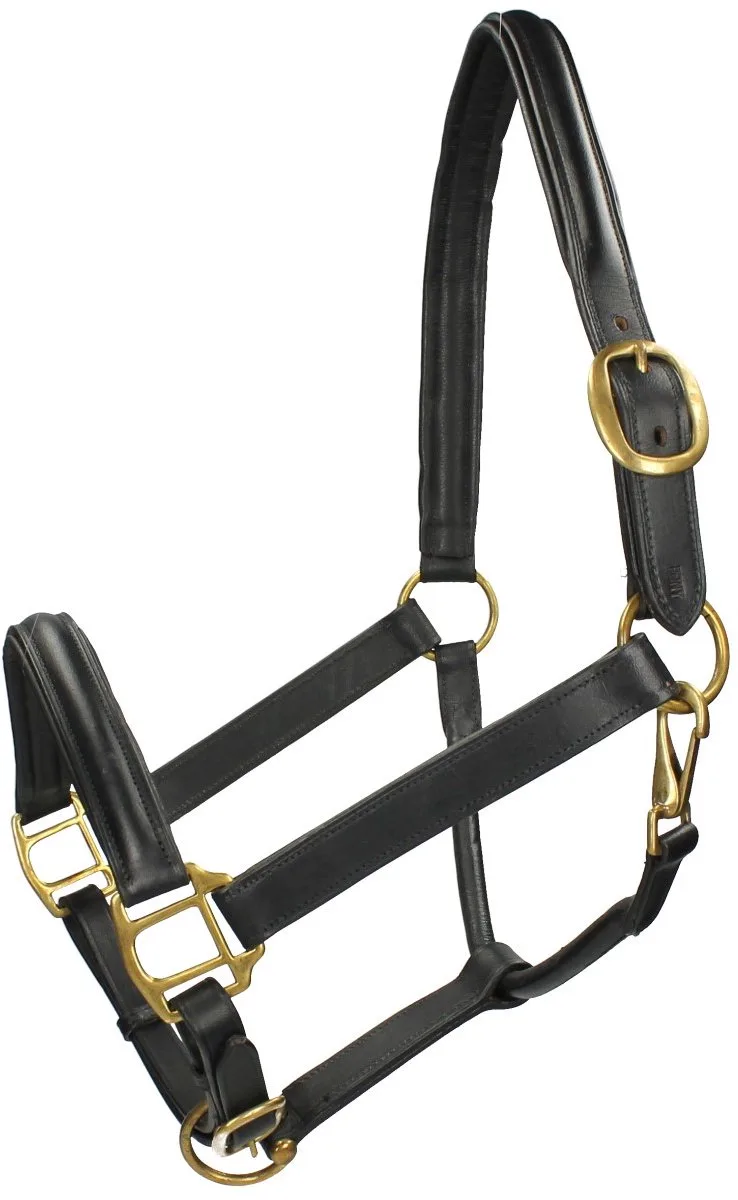 Halster Epplejeck Jota by Epplejeck in Black – product photo