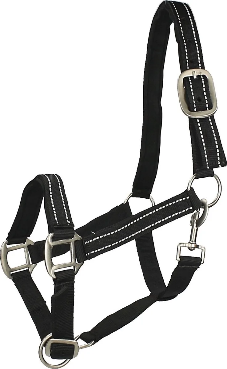 Halster Epplejeck Reflective by Epplejeck in Black – product photo