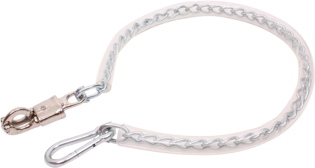 Ketting Geplastificeerd 70 Cm de Epplejeck – photo produit