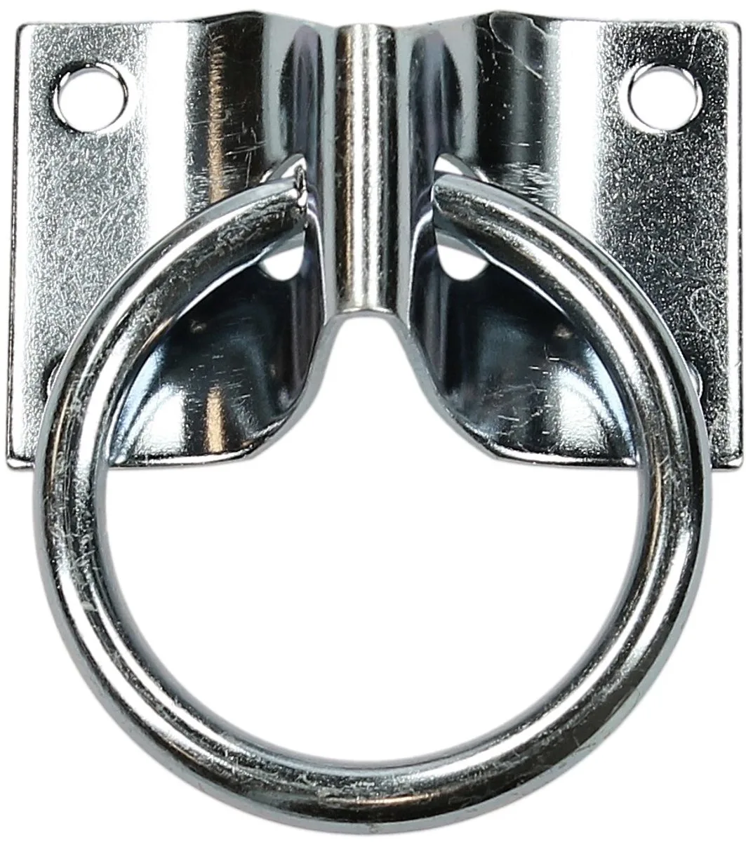Muurring Met Achterplaat de Epplejeck – photo produit